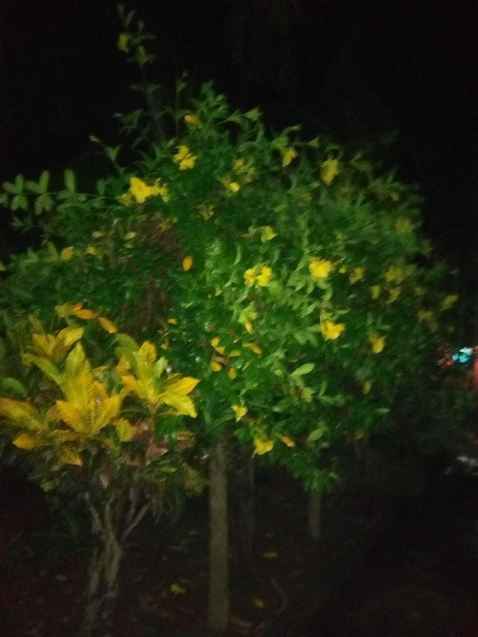 Labanya Guest House Konark Luaran gambar